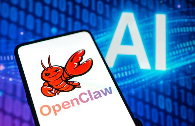 应对安全风险 奇安信推出“龙虾安全伴侣”系列成果